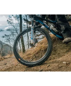 Pneumatiques Pour Cycles 27.5x2.60 Schwalbe MAGIC MARY ADDIX Apex Speedgrip - SnakeSkin - TL Easy - ETRTO 65-584 -Pneumatiques pour cycles boutique magic mary 1 4