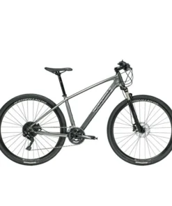 Trek Dual Sport 4
